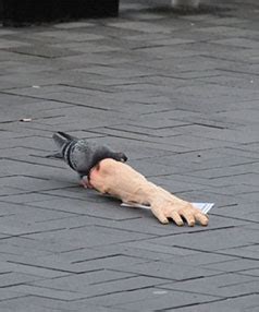 Severed Limbs .